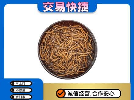 温州文成县礼品回收虫草.jpg