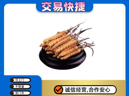 温州文成县礼品回收散虫草.jpg